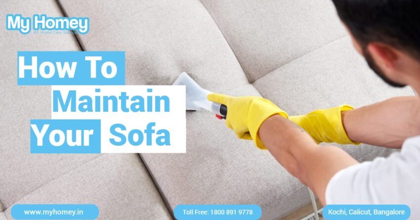 Maintain your sofa