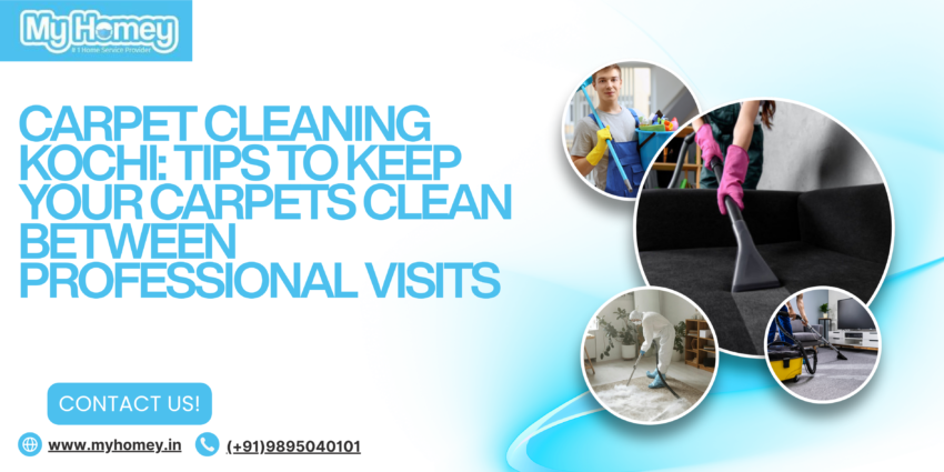 Carpet Cleaning Kochi Tips to Keep Your Carpets Clean Between Professional Visits